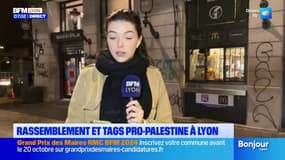 Lyon: après une manifestation en soutien à Gaza, des tags pro-Palestine sur les murs de la ville