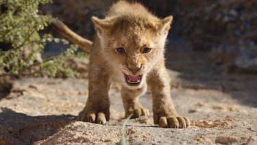 Le Roi Lion de Jon Favreau