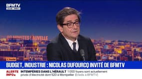 "Il faut monter les barrières douanières en Europe", assure Nicolas Dufourcq, président de la BPI