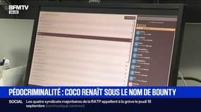 Pédocriminalité: le site Coco a rouvert sous le nom de Bounty