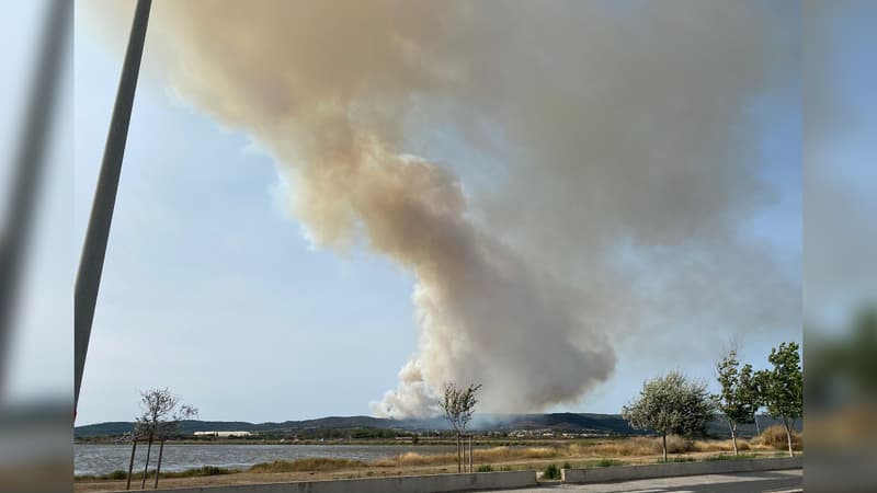 Hérault: un important incendie se déclare près d'une autoroute, 150 pompiers mobilisés