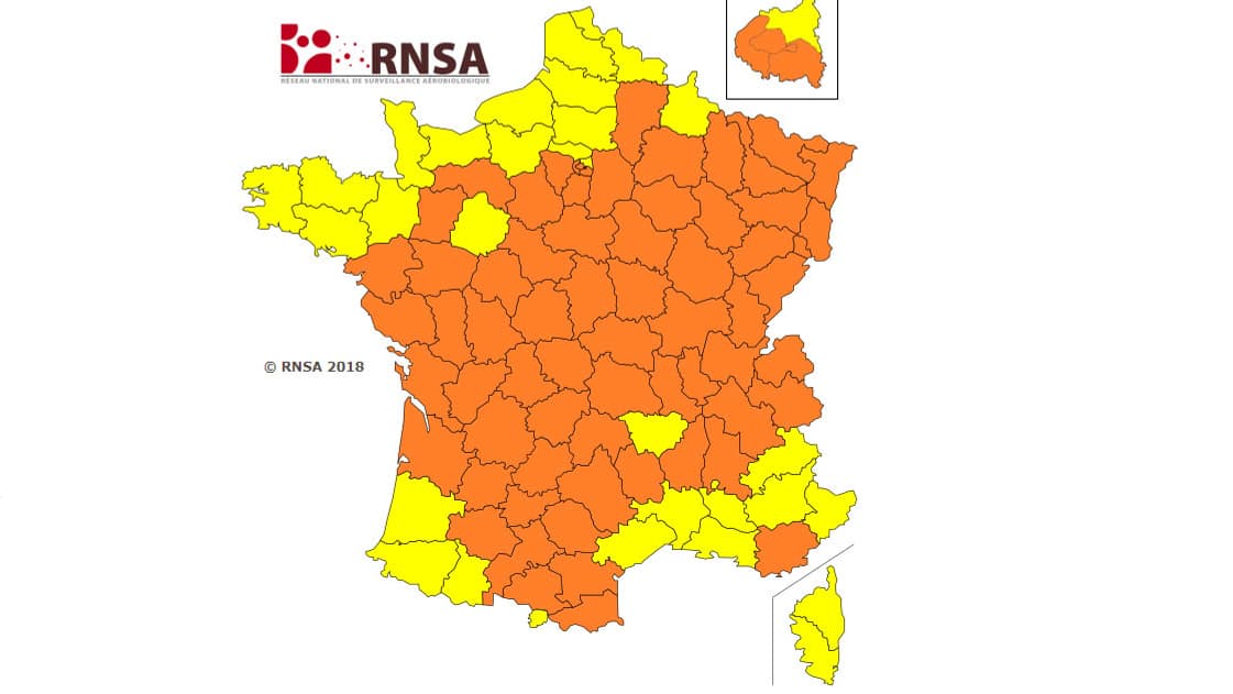 La carte des allergies établie par le RNSA met en exergue une forte allergie au pollen.