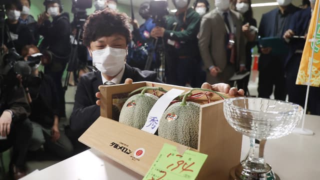 Deux melons japonais vendus 20.000 euros aux enchères