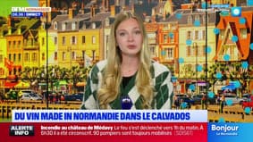 Bonjour la Normandie du jeudi 25 septembre 2025