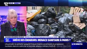 Jeanne Brugère-Picoux, membre de l'Académie nationale de médecine, s'inquiète de l'amoncellement des poubelles à Paris