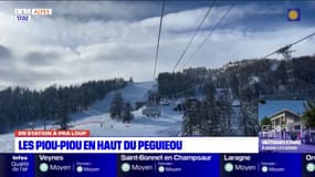 En station à Pra Loup: les Piou-piou s'entraînent en haut du Peguieou