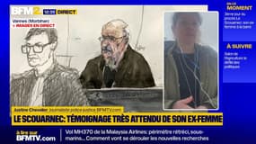 Procès Le Scouarnec: le témoignage très attendu de son ex-femme