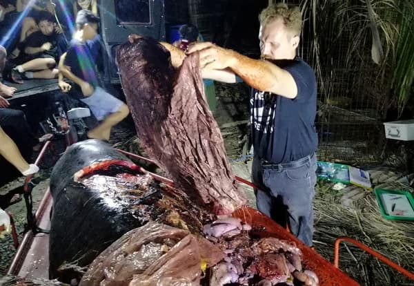 Après autopsie, les scientifiques ont découvert une quarantaine de kilos de sacs et autres déchets plastiques dans l'estomac de la baleine.