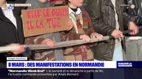 Normandie: plusieurs manifestations organisées pour la Journée internationale des droits des femmes