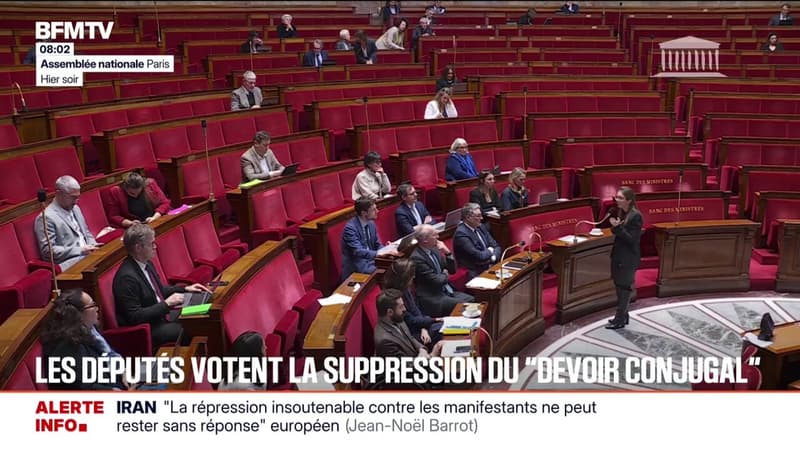 Les députés de l'Assemblée nationale ont voté à l'unanimité la fin du "devoir conjugal"