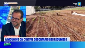 Planète locale du mercredi 14 mai - On cultive désormais ses légumes à Mougins