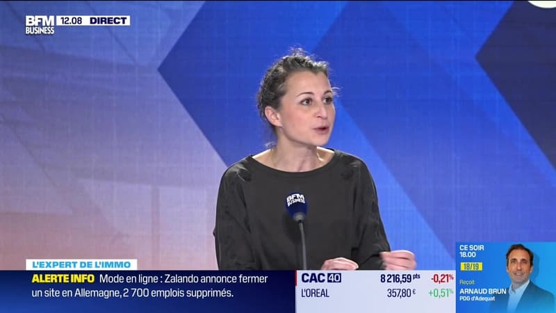 Les Experts de l'immo : Immobilier, bilan sur la fiscalité en 2025 - 08/01