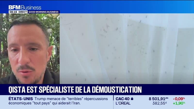 Qista, spécialiste de la démoustication, accélère