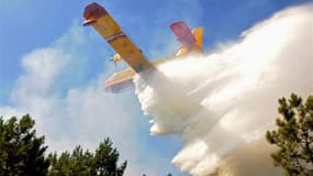 L'incendie qui s'est déclenché jeudi en milieu de journée à Lacanau (Gironde) et a détruit 650 hectares de forêt et de broussailles a été maîtrisé par les pompiers toujours présents sur les lieux vendredi soir. /Photo prise le 17 août 2012/REUTERS/Loïc Le