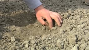 Un sol desséché chez un agriculteur dans le Nord, après un déficit de pluie depuis trois mois