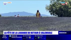 Valensole: la fête de la lavande de retour ce dimanche