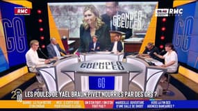 Les poules de Yaël Braun-Pivet nourries par des CRS