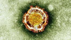 Le coronavirus - Image d'illustration 