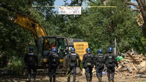 Une soixantaine d'arbres ont été abattus en quelques heures dimanche 1er septembre sur le tracé de l'A69.