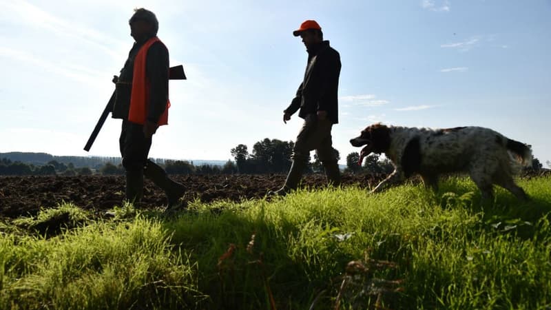 Des chasseurs - Image d'illustration 