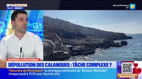 Dépollution des Calanques: un budget jugé trop faible pour tenir les délais