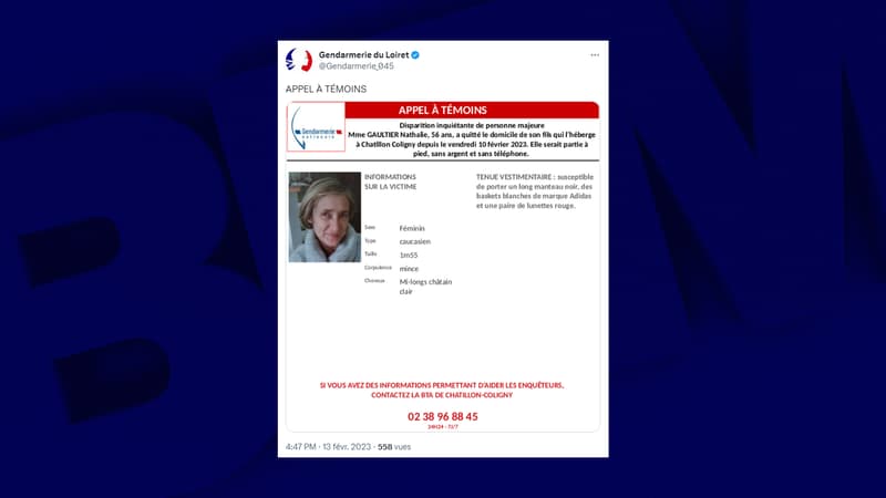 Nathalie Gaultier a disparu le 10 février dernier à Châtillon-Coligny, dans le Loiret.