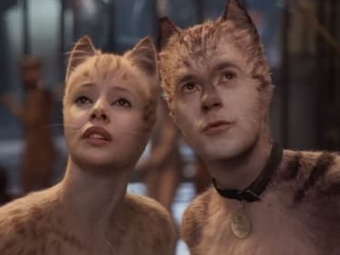 Cats