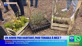Nice: planter un arbre par habitant, un projet faisable ? 