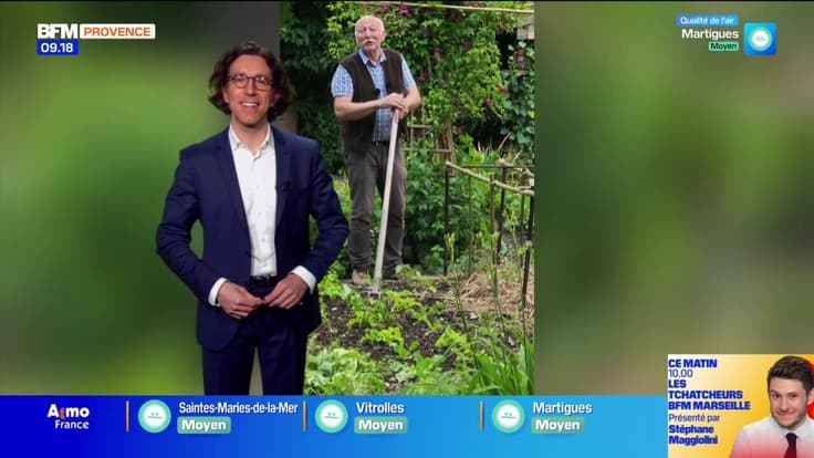 Un peu de cinéma, du jardinage et de la bonne humeur - La météo de Colas du mardi 27 janvier 2026