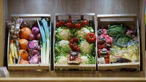 Des légumes frais au Salon de l'Agriculture à Paris, le 25 février 2025.