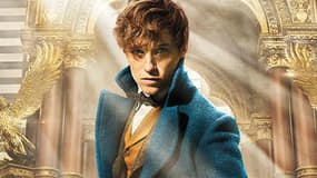 Eddie Redmayne dans le rôle de Norbert Dragonneau