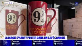 Azur & Riviera: à la découverte d'un café dédié à Harry Potter à Cannes
