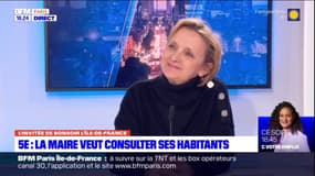 Paris: les référendums à l'échelle locale sont-ils possibles?