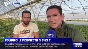 Pourquoi le melon est-il si cher ce début de saison?