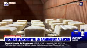 "C beau chez nous": le carré d'Hachimette, un camembert alsacien