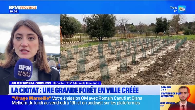 La Ciotat: une forêt en ville bientôt créée