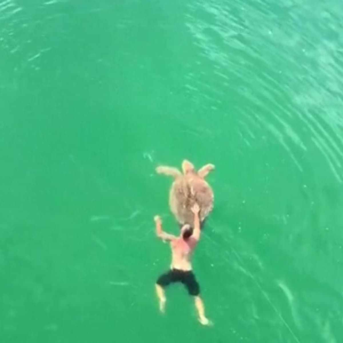 placeholder video