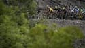 Le peloton dans les Alpes