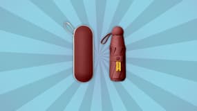 Ce parapluie compact à prix mini vous suivra partout 