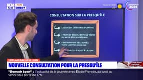 Métropole: une nouvelle consultation pour la Presqu'île