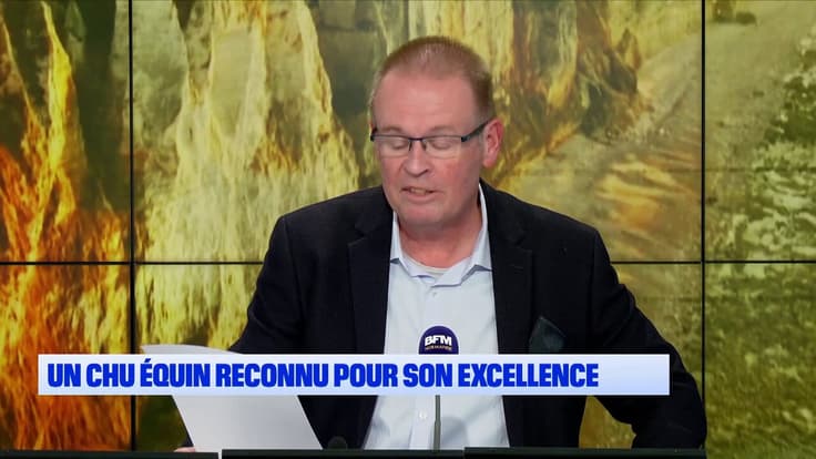 La Normandie se découvre : un CHU équin