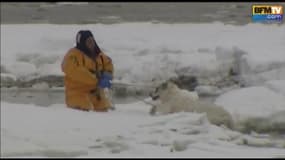 Etats-Unis : sauvetage de deux chiens coincés sur la glace