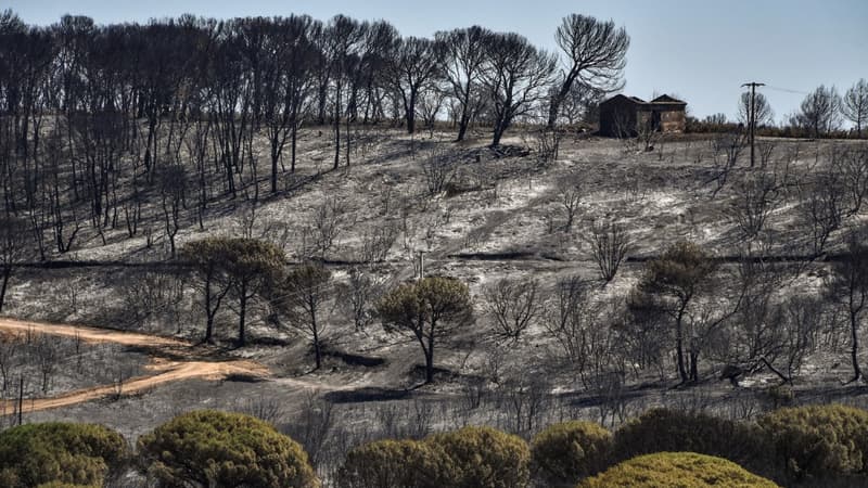 L'incendie a ravagé les alentours de Générac 