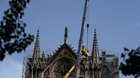 La cathédrale abrite deux faucons (illustration).