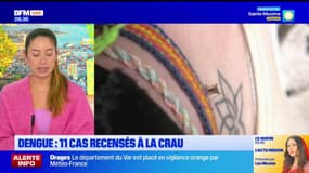 Var: onze cas de dengue détectés à La Crau, des opérations de démoustication menées