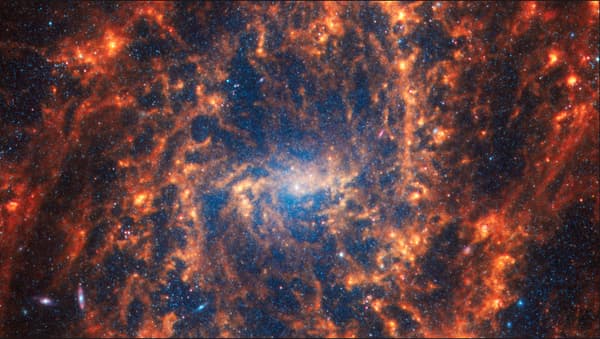 La galaxie spirale NGC 2835 se trouve à 35 millions d'années-lumière