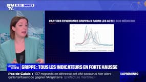L'épidémie de grippe se propage rapidement dans tout l'Hexagone