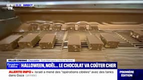 Avec la flambée du coût du cacao, le prix des chocolats va-t-il augmenter pour les fêtes?