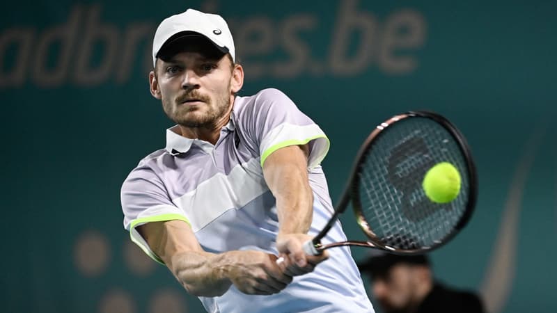 Goffin