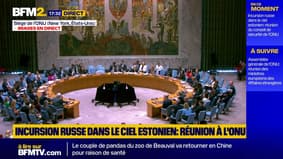 "Vous êtes incapables de vivre en paix avec vos voisins": la Pologne interpelle la Russie lors de la réunion du conseil de sécurité de l'ONU